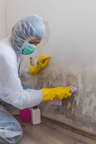 Best Comprehensive Air Testing for Mold Contaminants  in Kennesaw State University, GA