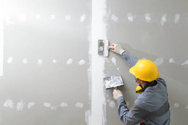 Best Asbestos and Lead Testing During Mold Inspection  in Kennesaw State University, GA