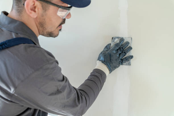 Reliable Kennesaw State University, GA Mold Removal Solutions
