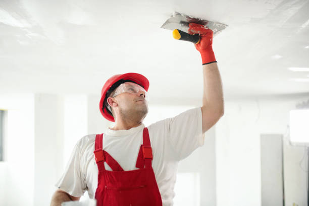 Best Air Quality Testing for Mold Spores  in Kennesaw State University, GA