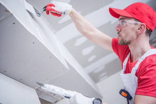 Best Attic Mold Removal  in Kennesaw State University, GA